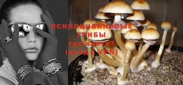 МДМА Горнозаводск