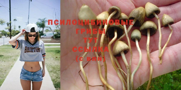 таблы Горняк