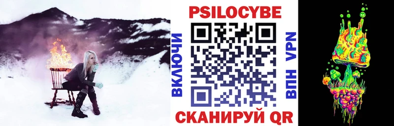 Купить Камбарка Галлюциногенные грибы Psilocybe